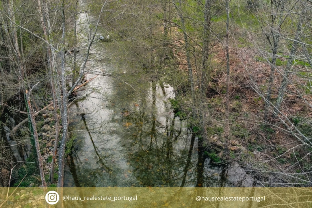 Terreno Agricola ou Rústico para Venda em Sarzedas Foto 1