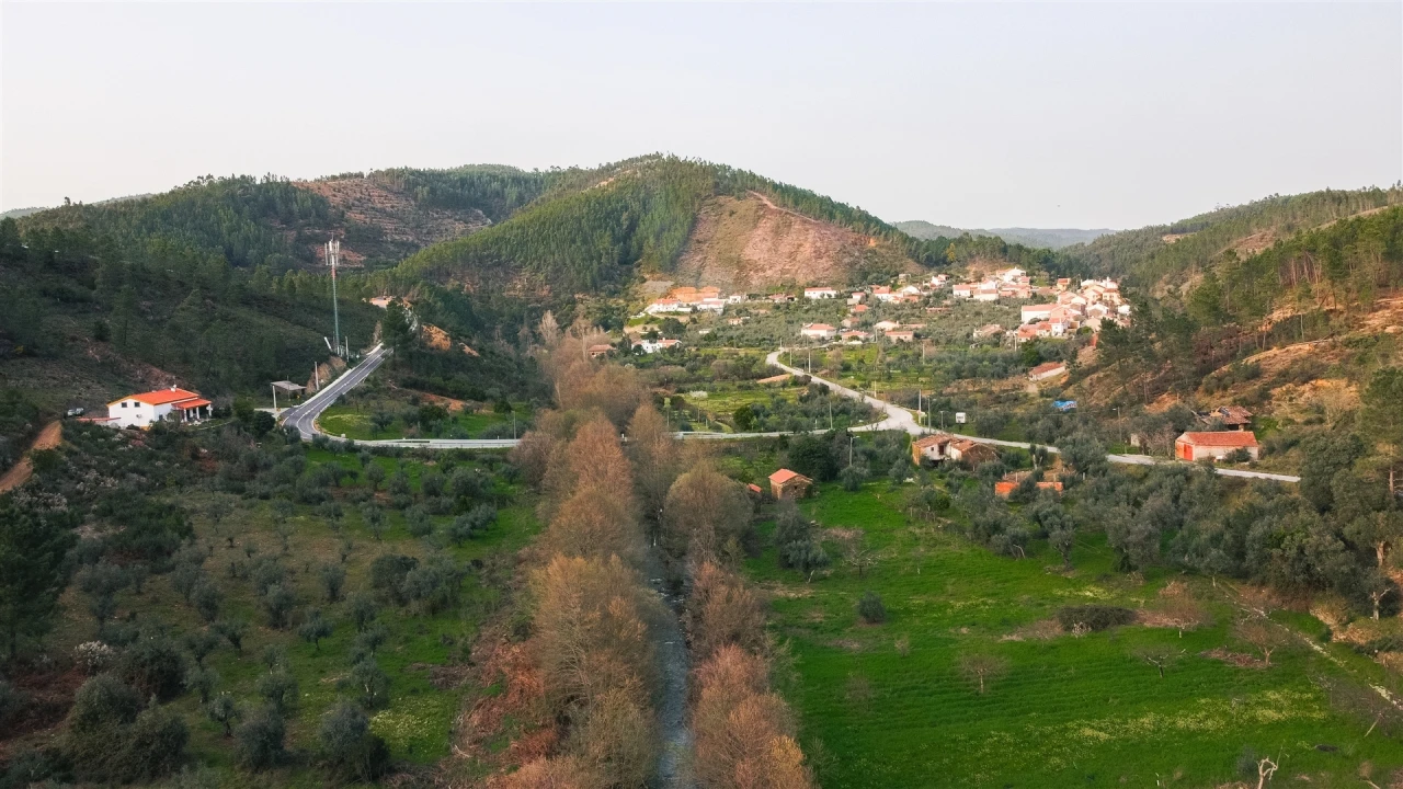Terreno Agricola ou Rústico para Venda em Sarzedas Foto 8