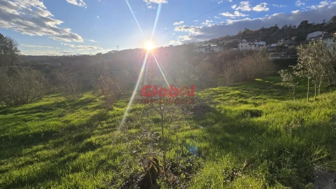 Terreno para Venda em Santos Evos