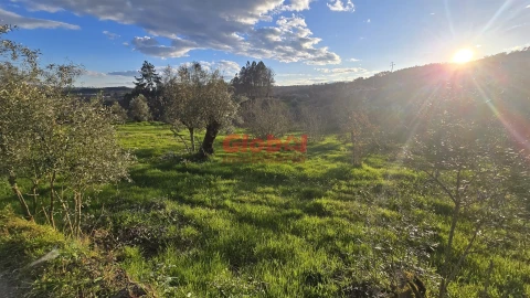 Terreno para Venda em Santos Evos