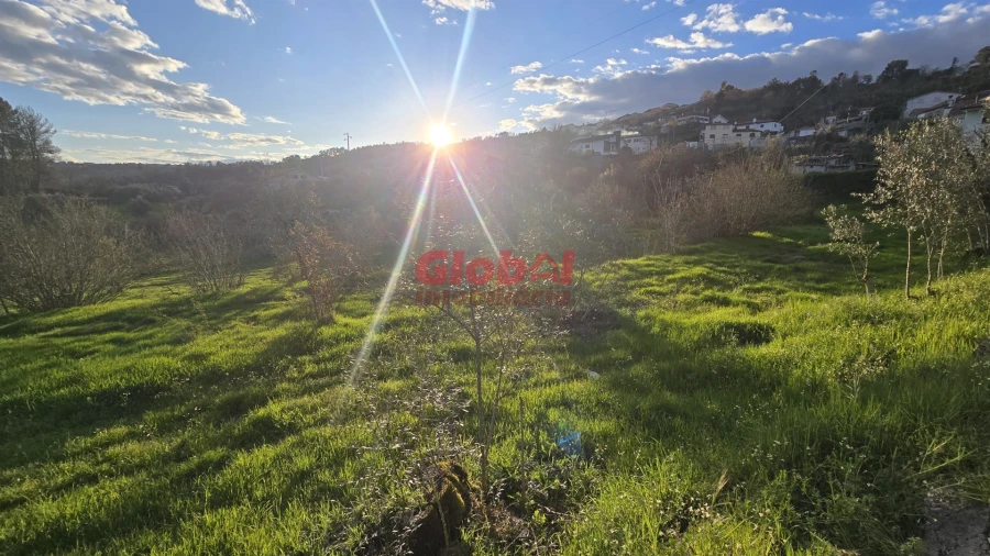 Terreno para Venda em Santos Evos Foto 2