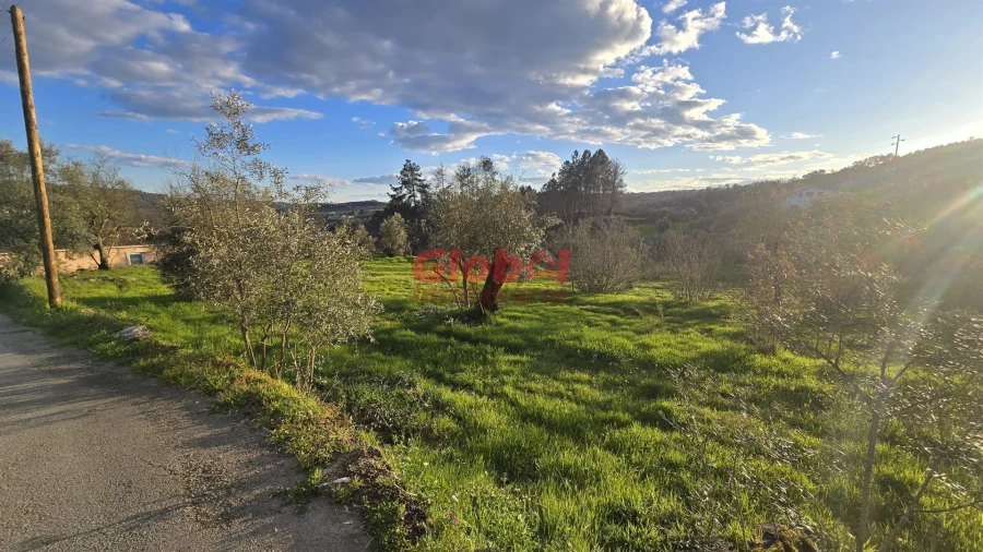 Terreno para Venda em Santos Evos Foto 3