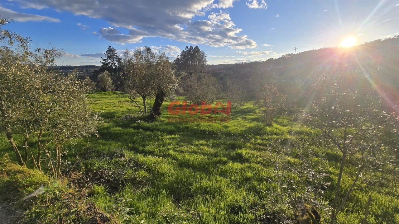 Terreno para Venda em Santos Evos Foto 1
