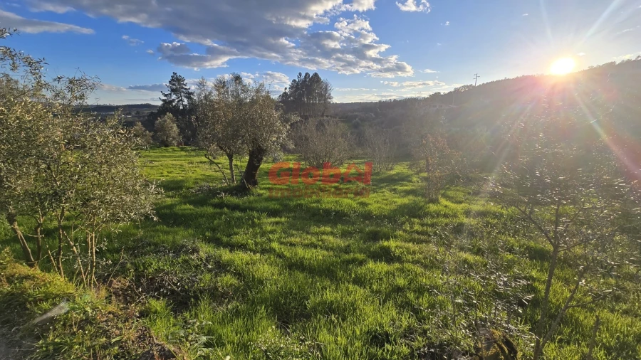 Terreno para Venda em Santos Evos