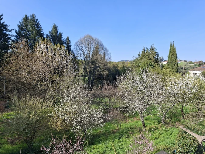 Apartamento T3 para Arrendamento em Viseu Foto 6