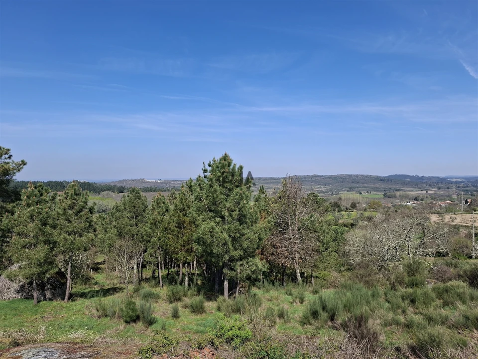 Terreno para Venda em Algodres Foto 16