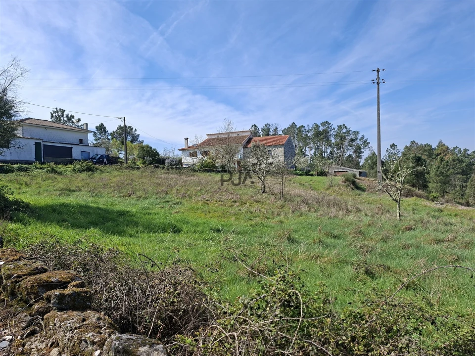 Terreno para Venda em Algodres Foto 3