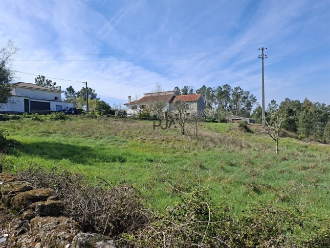 Terreno para Venda em Algodres Foto 3