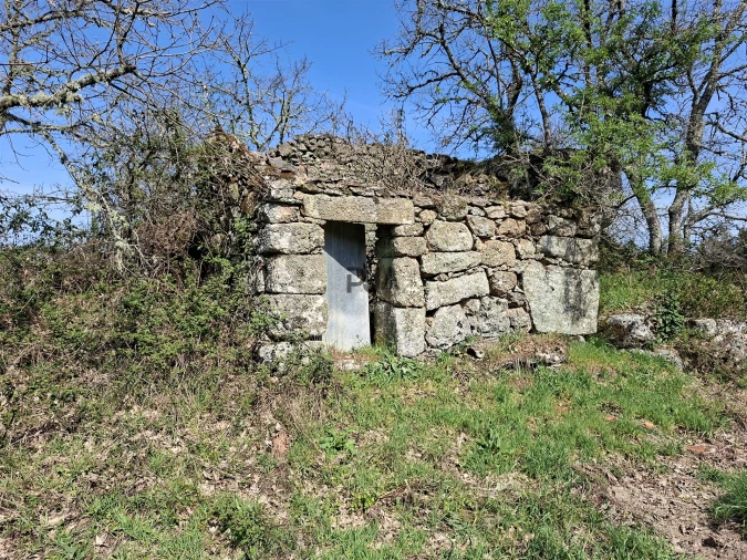 Terreno para Venda em Algodres Foto 14