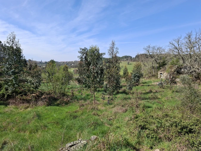 Terreno para Venda em Algodres Foto 12