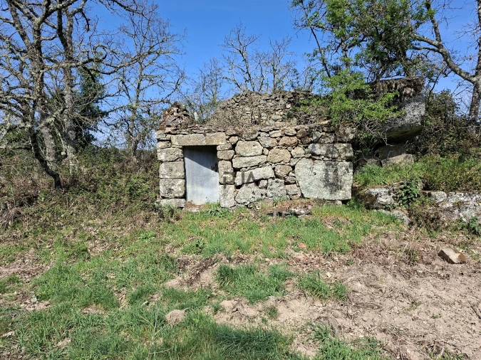 Terreno para Venda em Algodres Foto 13