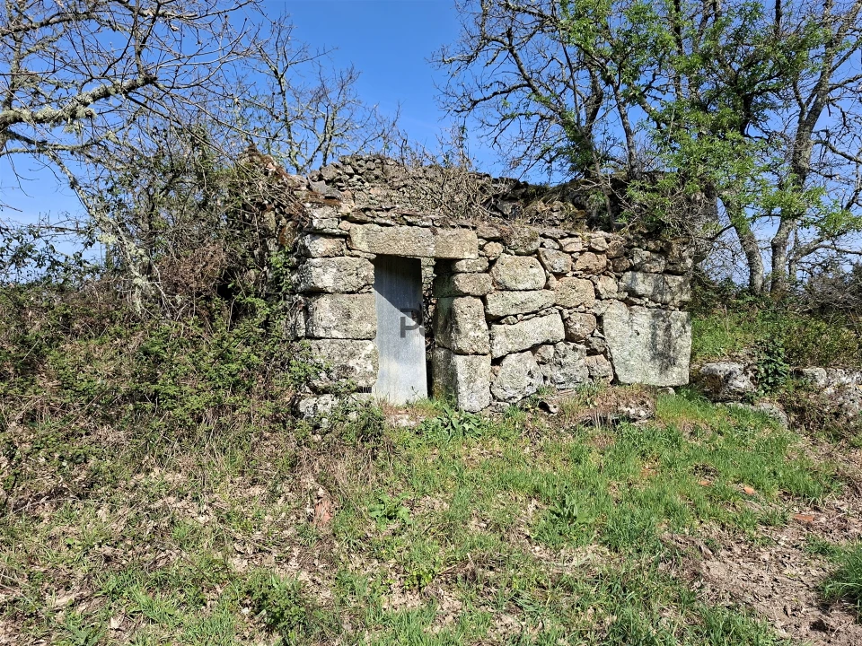 Terreno para Venda em Algodres Foto 14