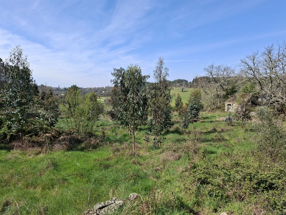 Terreno para Venda em Algodres Foto 12