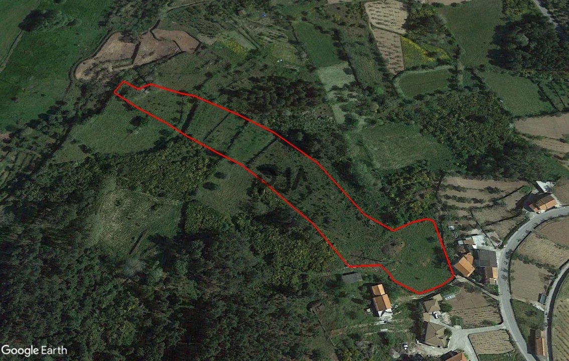 Terreno para Venda em Algodres Foto 18