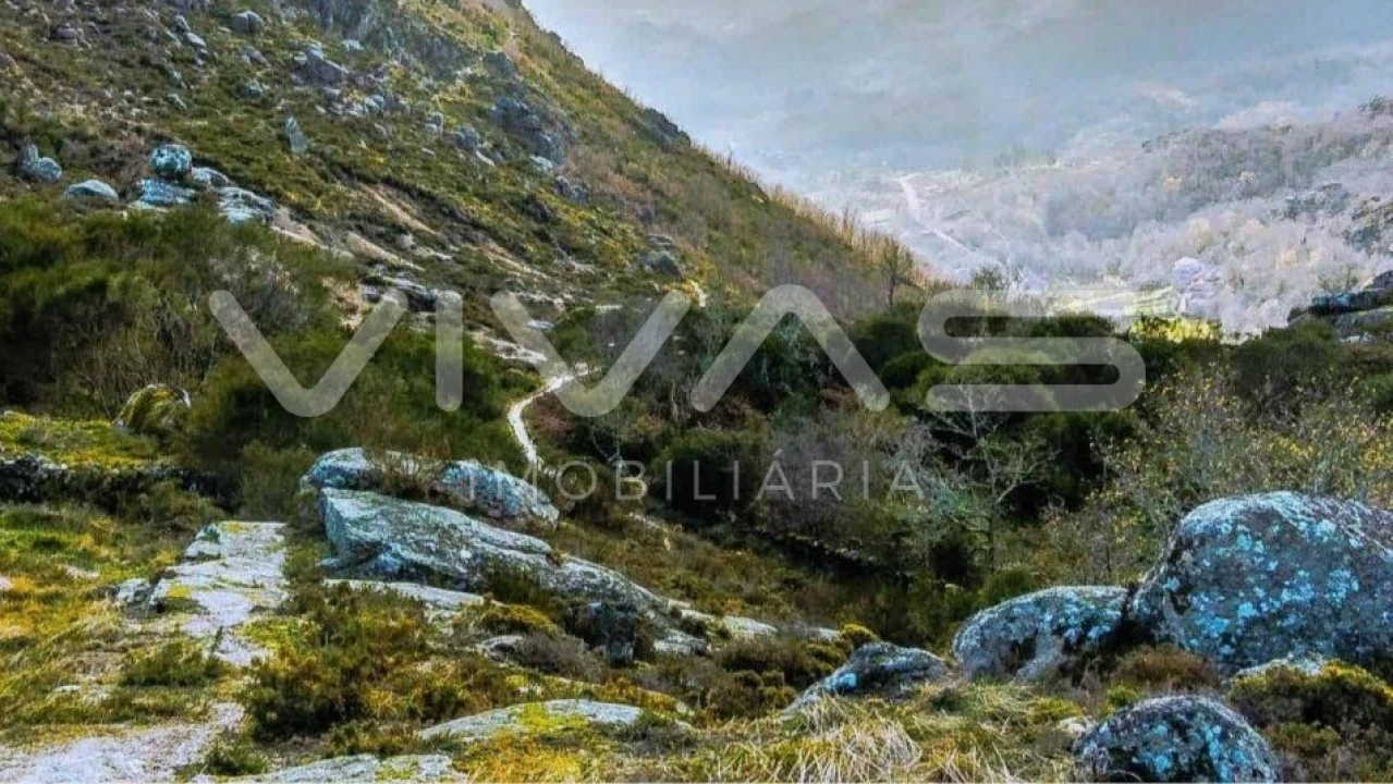 Moradia T3 para Venda em Bouro (Santa Maria) Foto 6