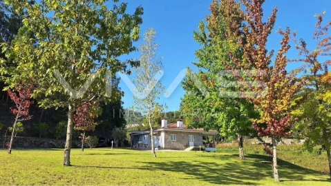 Moradia T3 para Venda em Bouro (Santa Maria)