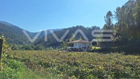 Moradia T3 para Venda em Bouro (Santa Maria)