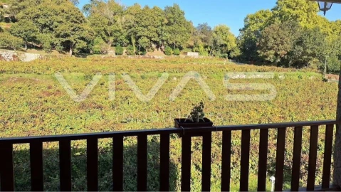 Moradia T3 para Venda em Bouro (Santa Maria)