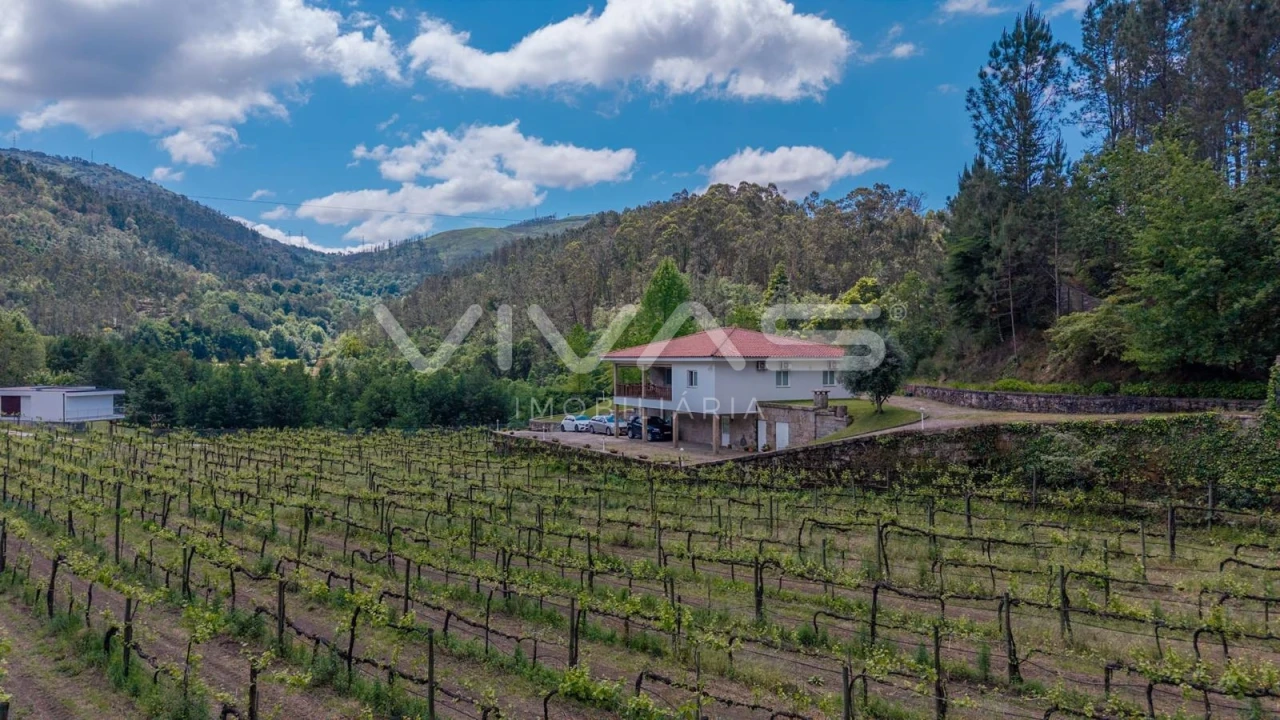 Moradia T3 para Venda em Bouro (Santa Maria) Foto 41