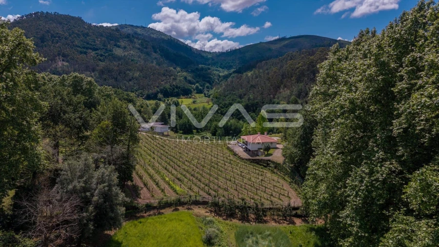 Moradia T3 para Venda em Bouro (Santa Maria) Foto 39