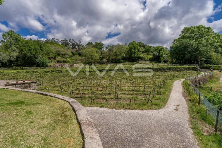 Moradia T3 para Venda em Bouro (Santa Maria) Foto 9