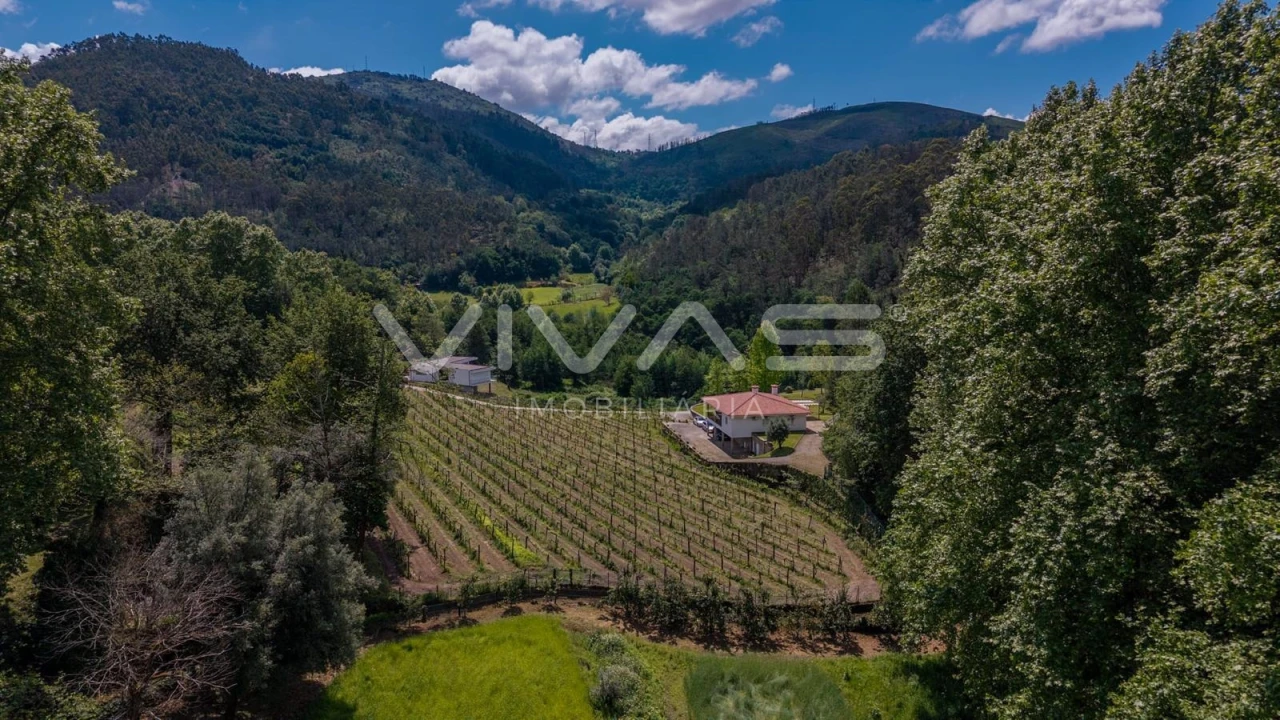 Moradia T3 para Venda em Bouro (Santa Maria) Foto 39