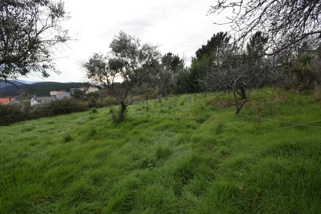 Terreno para Venda em Unhais da Serra Foto 23