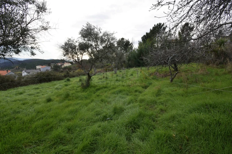 Terreno para Venda em Unhais da Serra Foto 23