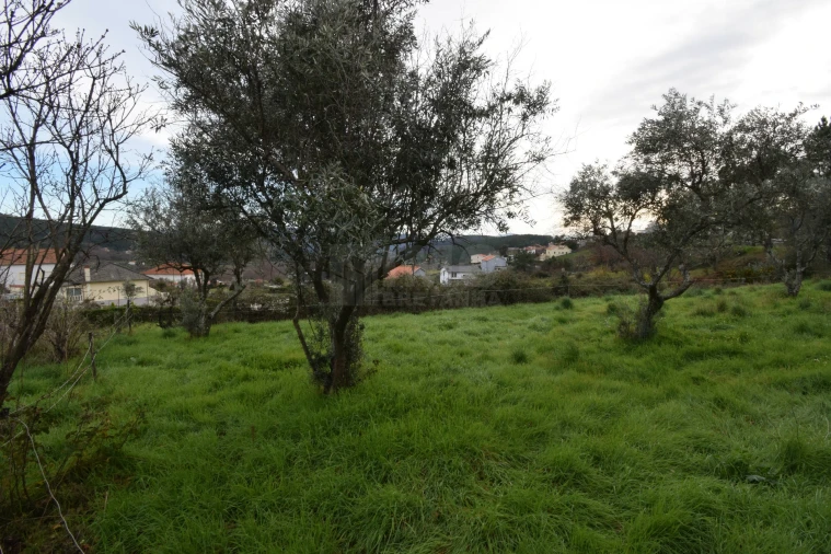 Terreno para Venda em Unhais da Serra Foto 25