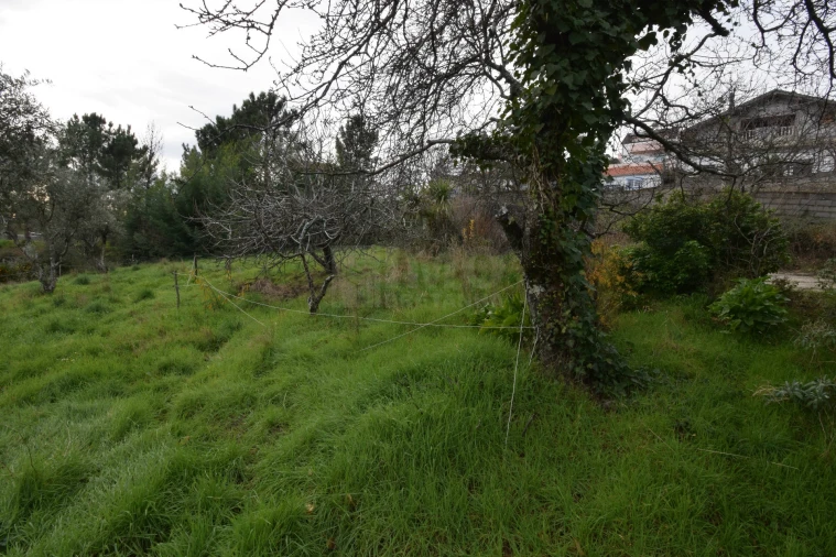 Terreno para Venda em Unhais da Serra Foto 24