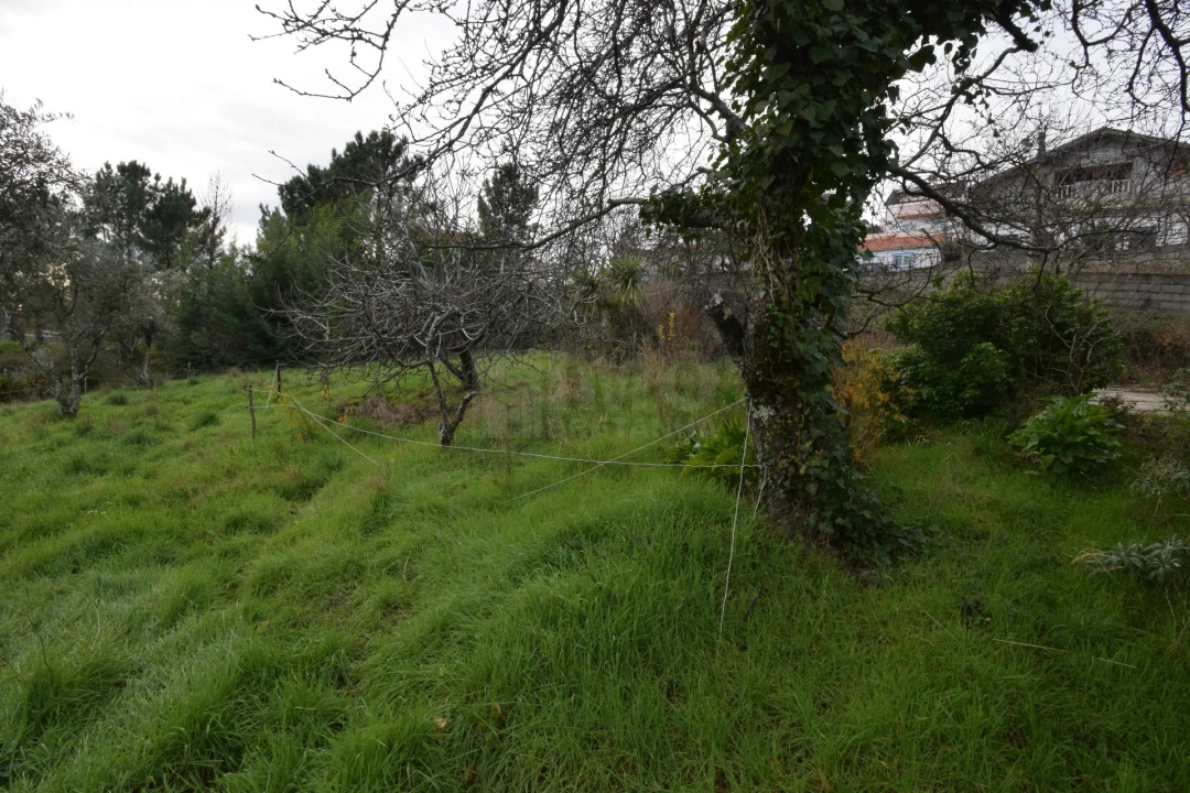 Terreno para Venda em Unhais da Serra Foto 24