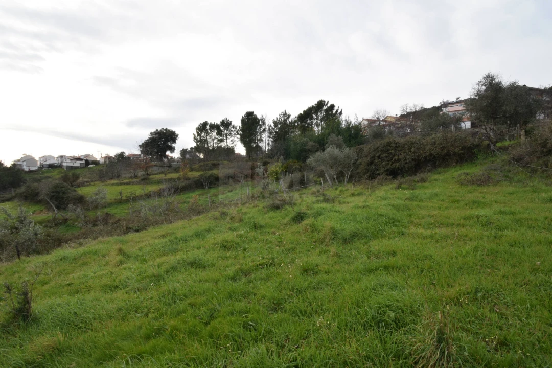 Terreno para Venda em Unhais da Serra Foto 20