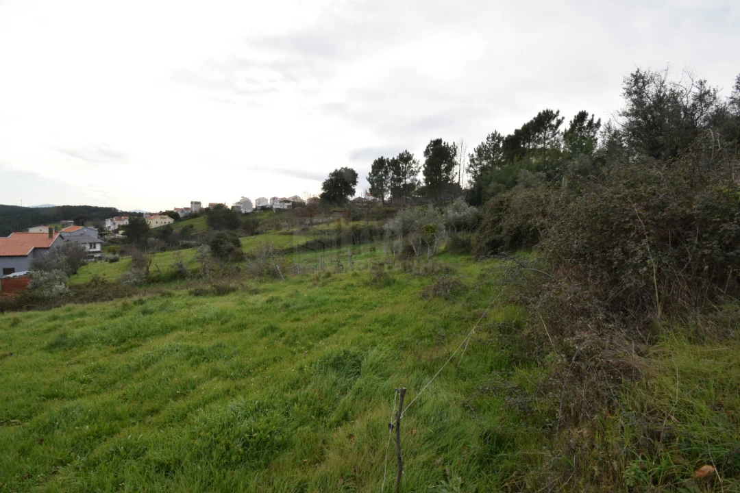 Terreno para Venda em Unhais da Serra Foto 19
