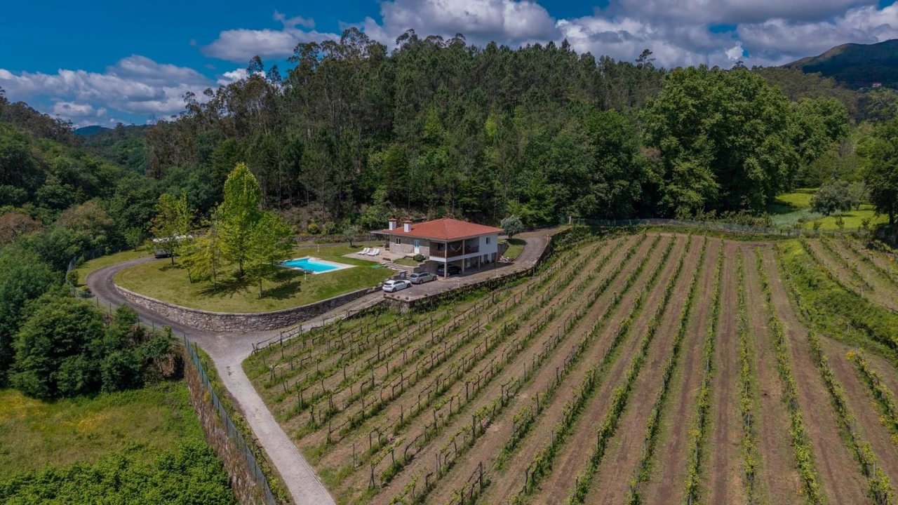 Quinta T3 para Venda em Bouro (Santa Maria) Foto 33