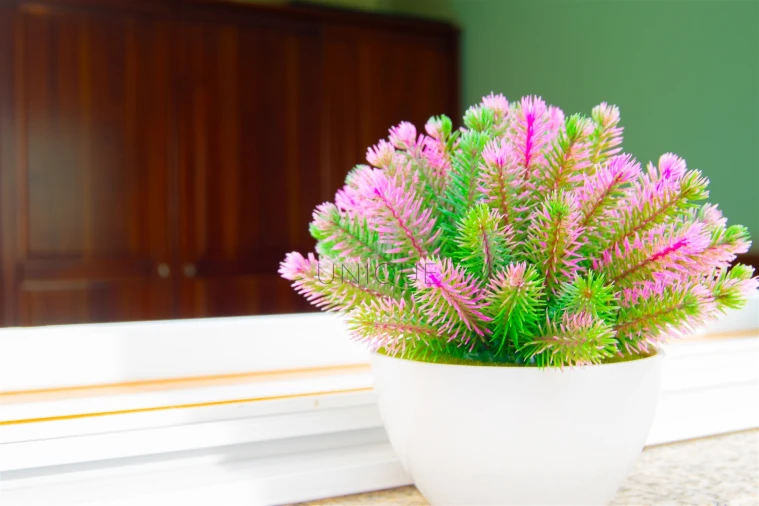 Moradia T3 para Venda em Canidelo Foto 16