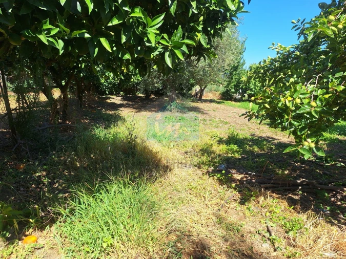 Moradia T3 para Venda em Suçães Foto 28