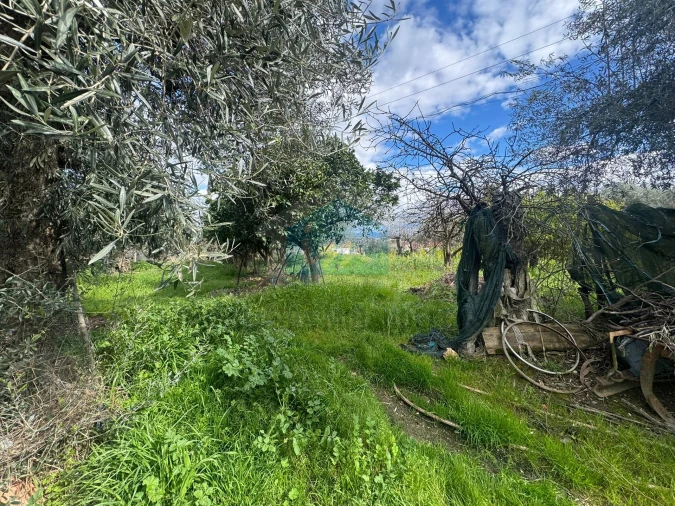 Moradia T3 para Venda em Suçães Foto 25