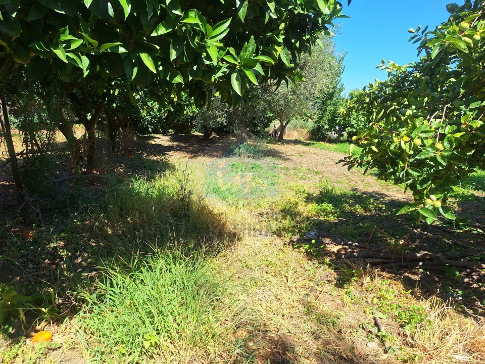 Moradia T3 para Venda em Suçães Foto 28