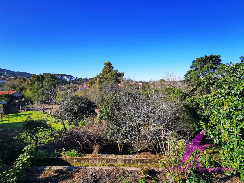 Moradia T4 para Venda em Riba de Ancora Foto 4