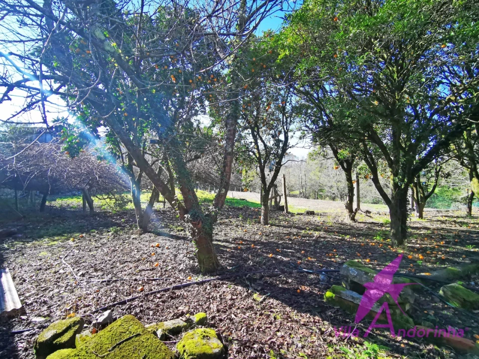 Moradia T4 para Venda em Riba de Ancora Foto 29