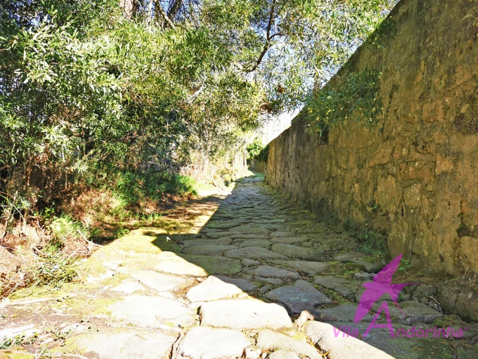 Moradia T4 para Venda em Riba de Ancora Foto 35