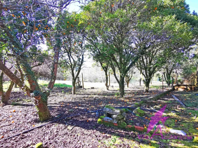 Moradia T4 para Venda em Riba de Ancora Foto 30