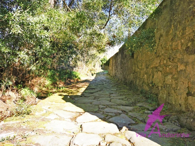 Moradia T4 para Venda em Riba de Ancora Foto 35