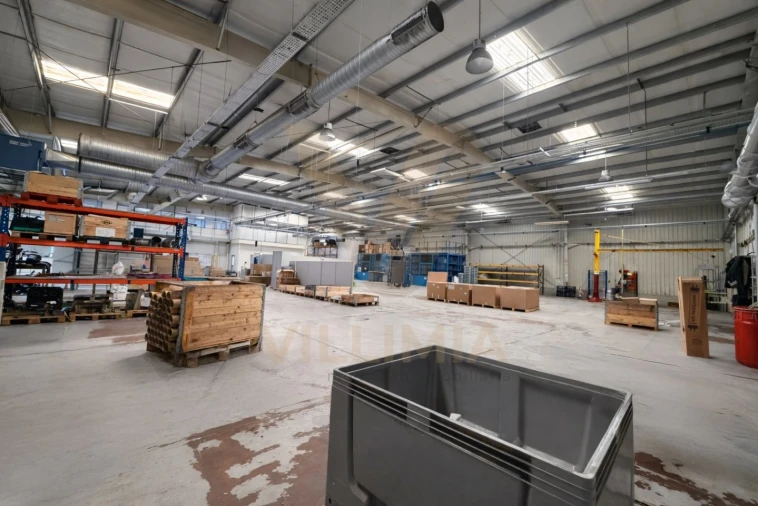 Armazém para Arrendamento em Padreiro (Salvador e Santa Cristina) Foto 31