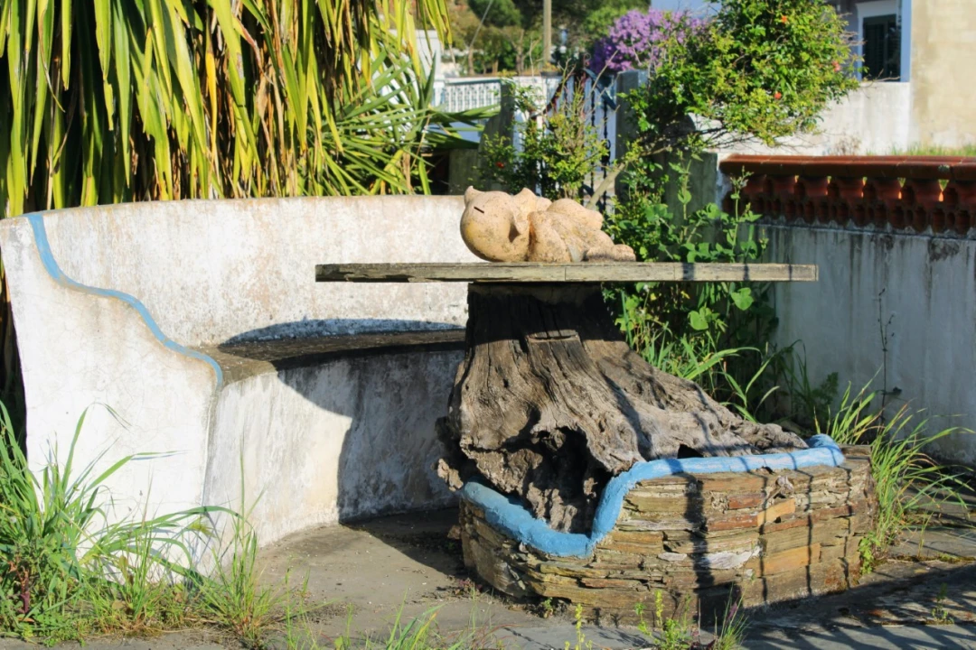 Moradia T3 para Venda em Terena (São Pedro) Foto 13