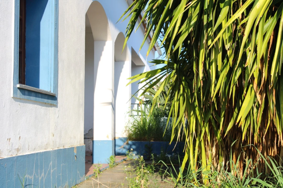 Moradia T3 para Venda em Terena (São Pedro) Foto 14