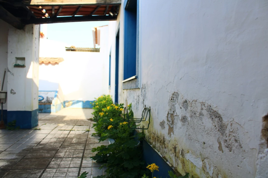 Moradia T3 para Venda em Terena (São Pedro) Foto 16