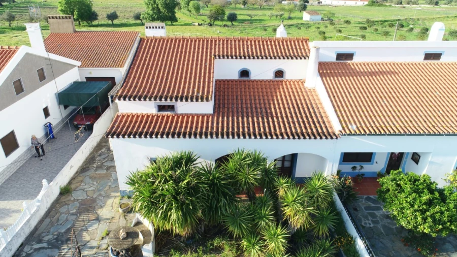 Moradia T3 para Venda em Terena (São Pedro) Foto 6