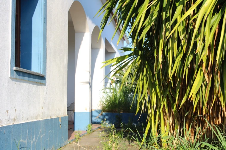 Moradia T3 para Venda em Terena (São Pedro) Foto 14