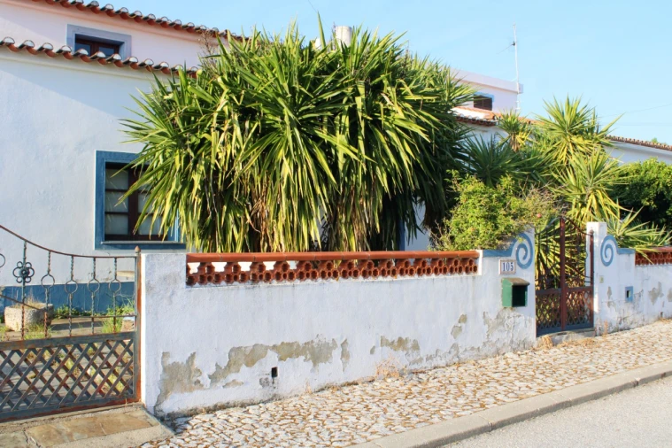 Moradia T3 para Venda em Terena (São Pedro) Foto 21